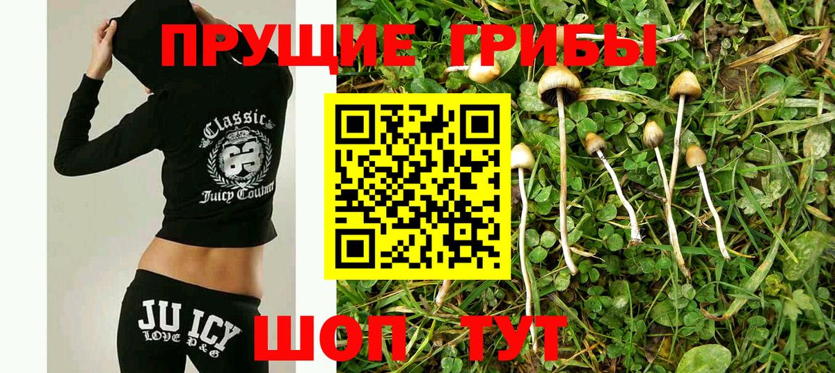 Канаш  Псилоцибиновые грибы ЛСД  Вход с VPN 